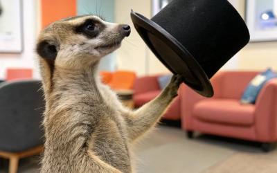 Trop sensible pour vous affirmer ?